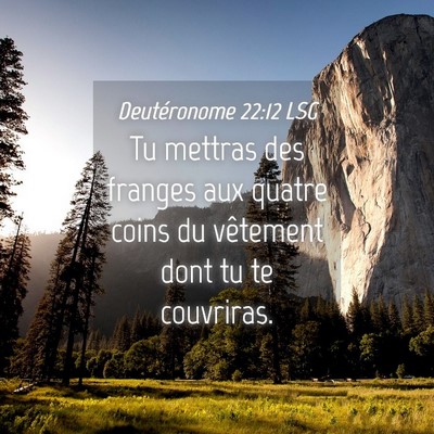 Picture 04 - Deutéronome 22:12 LSG - Tu mettras des franges aux quatre coins du - Bible Verse Picture