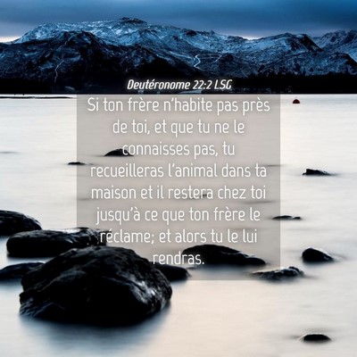 Picture 04 - Deutéronome 22:2 LSG - Si ton frère n'habite pas près de toi, et que - Bible Verse Picture