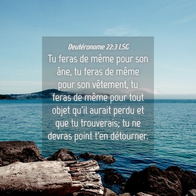 Picture 04 - Deutéronome 22:3 LSG - Tu feras de même pour son âne, tu feras de - Bible Verse Picture