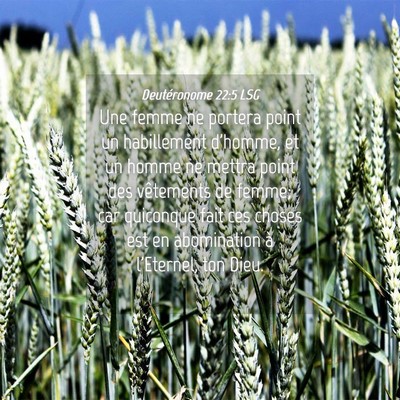 Picture 04 - Deutéronome 22:5 LSG - Une femme ne portera point un habillement - Bible Verse Picture