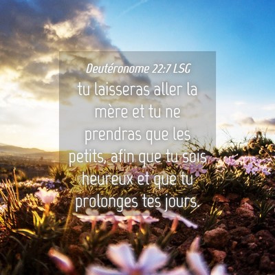 Picture 04 - Deutéronome 22:7 LSG - tu laisseras aller la mère et tu ne prendras que - Bible Verse Picture