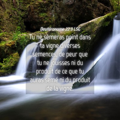 Picture 04 - Deutéronome 22:9 LSG - Tu ne sèmeras point dans ta vigne diverses - Bible Verse Picture