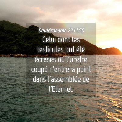 Picture 04 - Deutéronome 23:1 LSG - Celui dont les testicules ont été écrasés ou - Bible Verse Picture