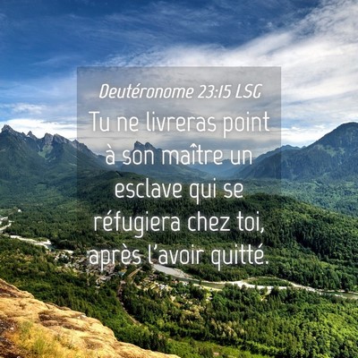 Picture 04 - Deutéronome 23:15 LSG - Tu ne livreras point à son maître un esclave - Bible Verse Picture