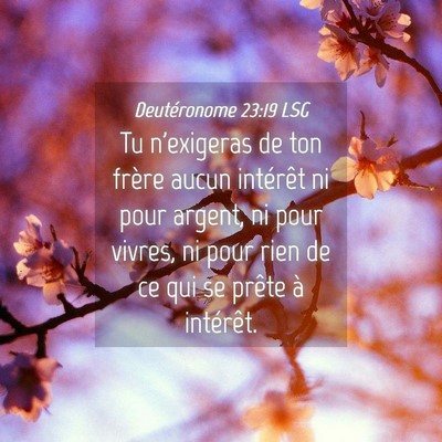 Picture 04 - Deutéronome 23:19 LSG - Tu n'exigeras de ton frère aucun intérêt ni - Bible Verse Picture