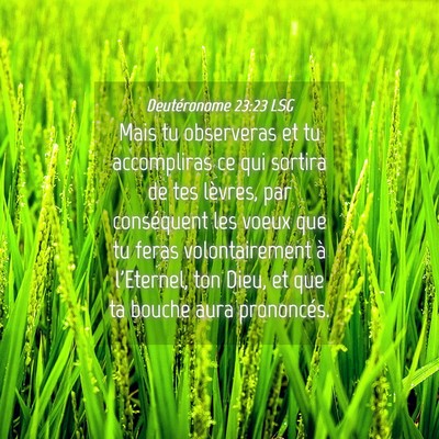 Picture 04 - Deutéronome 23:23 LSG - Mais tu observeras et tu accompliras ce qui - Bible Verse Picture