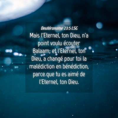 Picture 04 - Deutéronome 23:5 LSG - Mais l'Eternel, ton Dieu, n'a point voulu - Bible Verse Picture