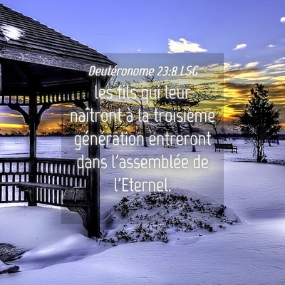 Picture 04 - Deutéronome 23:8 LSG - les fils qui leur naîtront à la troisième - Bible Verse Picture