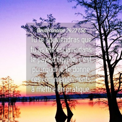 Picture 04 - Deutéronome 24:22 LSG - Tu te souviendras que tu as été esclave dans le - Bible Verse Picture