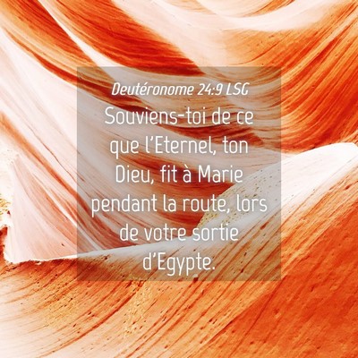 Picture 04 - Deutéronome 24:9 LSG - Souviens-toi de ce que l'Eternel, ton Dieu, fit - Bible Verse Picture