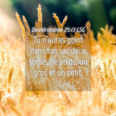 Picture 04 - Deutéronome 25:13 LSG - Tu n'auras point dans ton sac deux sortes de - Bible Verse Picture