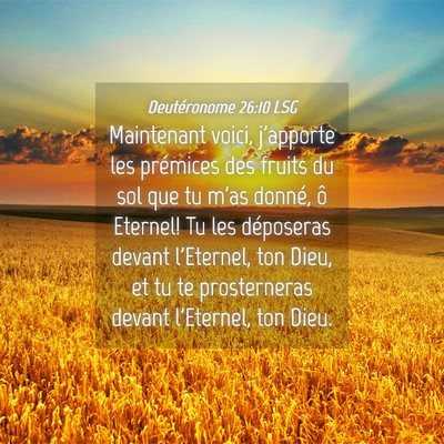 Picture 04 - Deutéronome 26:10 LSG - Maintenant voici, j'apporte les prémices des - Bible Verse Picture