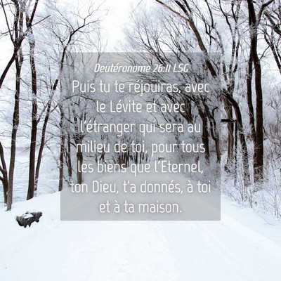 Picture 04 - Deutéronome 26:11 LSG - Puis tu te réjouiras, avec le Lévite et avec - Bible Verse Picture