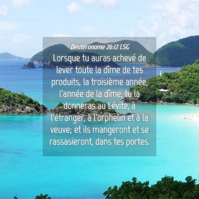 Picture 04 - Deutéronome 26:12 LSG - Lorsque tu auras achevé de lever toute la dîme - Bible Verse Picture