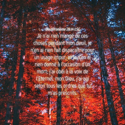 Picture 04 - Deutéronome 26:14 LSG - Je n'ai rien mangé de ces choses pendant mon - Bible Verse Picture