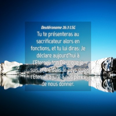 Picture 04 - Deutéronome 26:3 LSG - Tu te présenteras au sacrificateur alors en - Bible Verse Picture