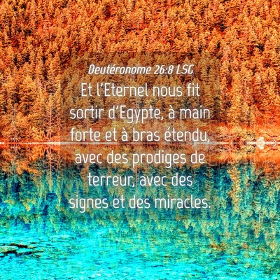 Picture 04 - Deutéronome 26:8 LSG - Et l'Eternel nous fit sortir d'Egypte, à main - Bible Verse Picture