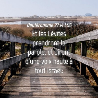 Picture 04 - Deutéronome 27:14 LSG - Et les Lévites prendront la parole, et diront - Bible Verse Picture