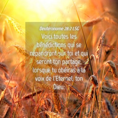Picture 04 - Deutéronome 28:2 LSG - Voici toutes les bénédictions qui se - Bible Verse Picture