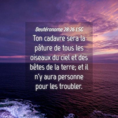 Picture 04 - Deutéronome 28:26 LSG - Ton cadavre sera la pâture de tous les oiseaux - Bible Verse Picture