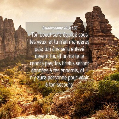 Picture 04 - Deutéronome 28:31 LSG - Ton boeuf sera égorgé sous tes yeux, et tu n'en - Bible Verse Picture