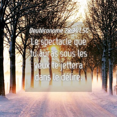 Picture 04 - Deutéronome 28:34 LSG - Le spectacle que tu auras sous les yeux te - Bible Verse Picture