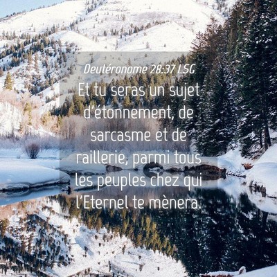 Picture 04 - Deutéronome 28:37 LSG - Et tu seras un sujet d'étonnement, de sarcasme - Bible Verse Picture