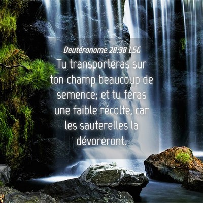 Picture 04 - Deutéronome 28:38 LSG - Tu transporteras sur ton champ beaucoup de - Bible Verse Picture
