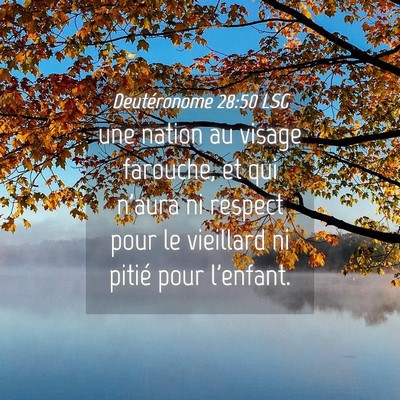 Picture 04 - Deutéronome 28:50 LSG - une nation au visage farouche, et qui n'aura ni - Bible Verse Picture