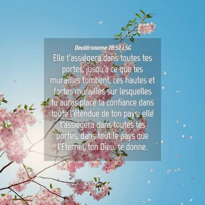 Picture 04 - Deutéronome 28:52 LSG - Elle t'assiégera dans toutes tes portes, - Bible Verse Picture