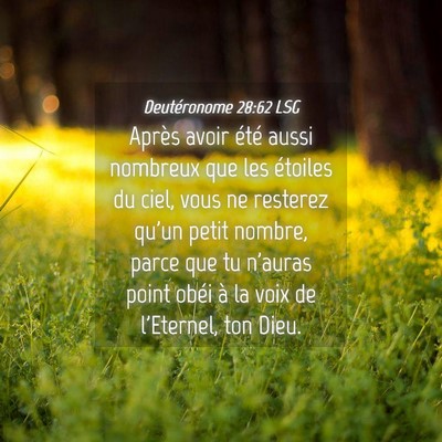 Picture 04 - Deutéronome 28:62 LSG - Après avoir été aussi nombreux que les - Bible Verse Picture