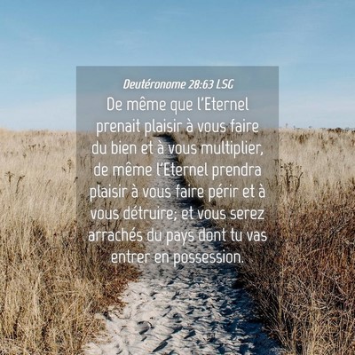 Picture 04 - Deutéronome 28:63 LSG - De même que l'Eternel prenait plaisir à vous - Bible Verse Picture
