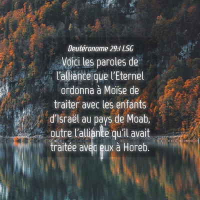 Picture 04 - Deutéronome 29:1 LSG - Voici les paroles de l'alliance que l'Eternel - Bible Verse Picture