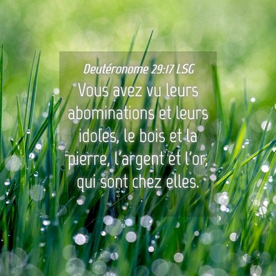 Picture 04 - Deutéronome 29:17 LSG - Vous avez vu leurs abominations et leurs idoles, - Bible Verse Picture