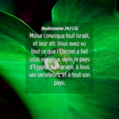 Picture 04 - Deutéronome 29:2 LSG - Moïse convoqua tout Israël, et leur dit: Vous - Bible Verse Picture
