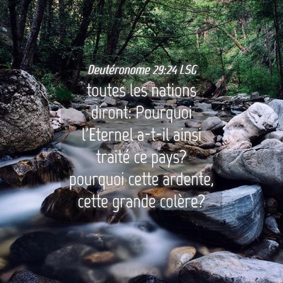Picture 04 - Deutéronome 29:24 LSG - toutes les nations diront: Pourquoi l'Eternel - Bible Verse Picture