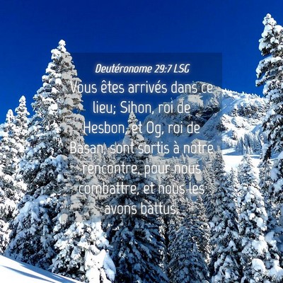 Picture 04 - Deutéronome 29:7 LSG - Vous êtes arrivés dans ce lieu; Sihon, roi de - Bible Verse Picture
