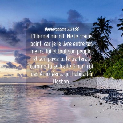 Picture 04 - Deutéronome 3:2 LSG - L'Eternel me dit: Ne le crains point; car je le - Bible Verse Picture
