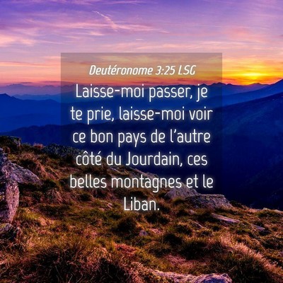 Picture 04 - Deutéronome 3:25 LSG - Laisse-moi passer, je te prie, laisse-moi voir ce - Bible Verse Picture