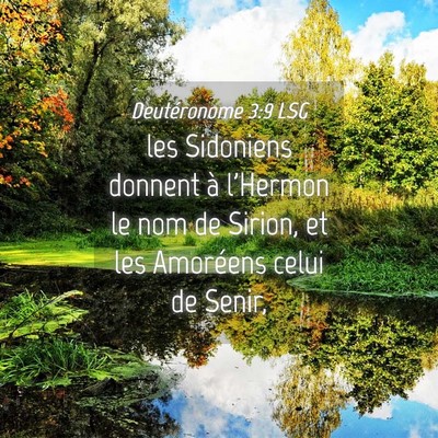 Picture 04 - Deutéronome 3:9 LSG - les Sidoniens donnent à l'Hermon le nom de - Bible Verse Picture