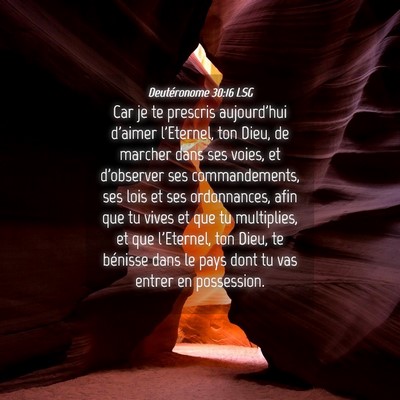Picture 04 - Deutéronome 30:16 LSG - Car je te prescris aujourd'hui d'aimer l'Eternel, - Bible Verse Picture