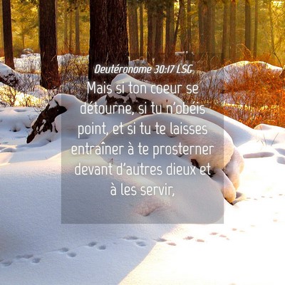 Picture 04 - Deutéronome 30:17 LSG - Mais si ton coeur se détourne, si tu n'obéis - Bible Verse Picture