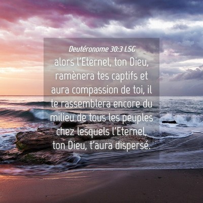 Picture 04 - Deutéronome 30:3 LSG - alors l'Eternel, ton Dieu, ramènera tes captifs - Bible Verse Picture