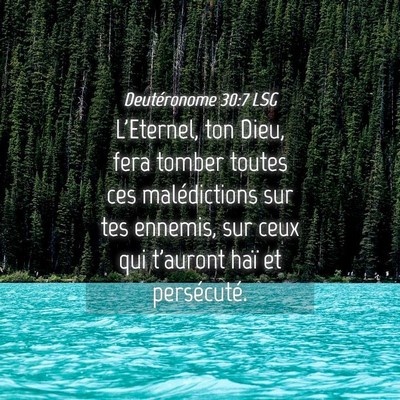 Picture 04 - Deutéronome 30:7 LSG - L'Eternel, ton Dieu, fera tomber toutes ces - Bible Verse Picture