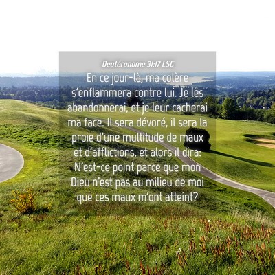 Picture 04 - Deutéronome 31:17 LSG - En ce jour-là, ma colère s'enflammera contre - Bible Verse Picture