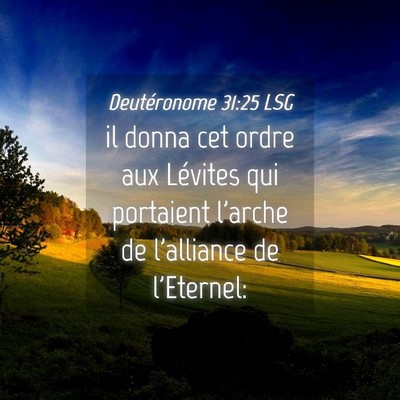 Picture 04 - Deutéronome 31:25 LSG - il donna cet ordre aux Lévites qui portaient - Bible Verse Picture