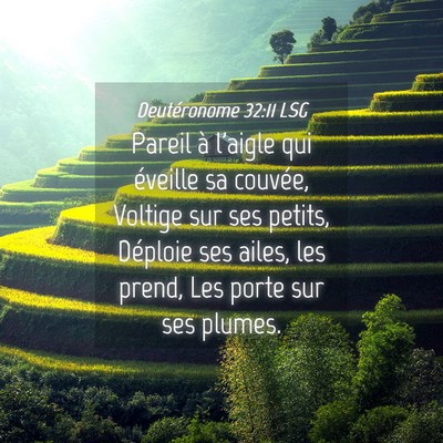 Picture 04 - Deutéronome 32:11 LSG - Pareil à l'aigle qui éveille sa couvée, - Bible Verse Picture