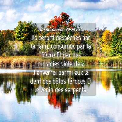 Picture 04 - Deutéronome 32:24 LSG - Ils seront desséchés par la faim, consumés par - Bible Verse Picture