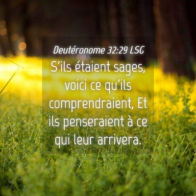 Picture 04 - Deutéronome 32:29 LSG - S'ils étaient sages, voici ce qu'ils - Bible Verse Picture