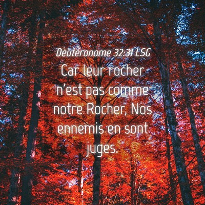 Picture 04 - Deutéronome 32:31 LSG - Car leur rocher n'est pas comme notre Rocher, Nos - Bible Verse Picture